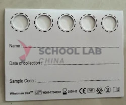 Paper, dry blood spot, box/100